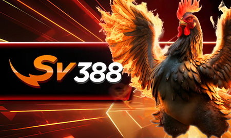 SV388 ชนไก่