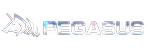 pegasus